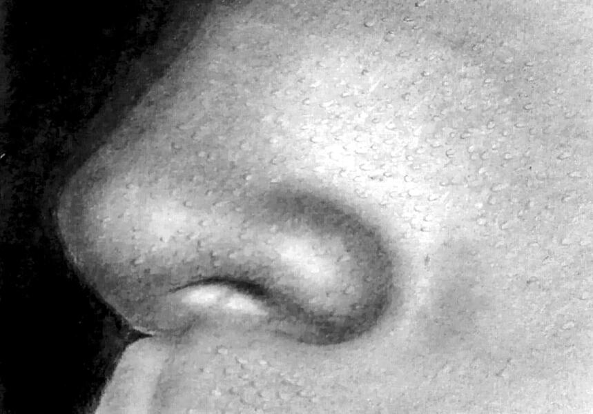 The Meat Doctor Slide 3